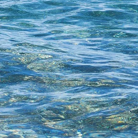 в центре рядом с лесом, горами и морем كمر